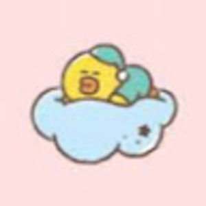 Meet your Posher, Anaily